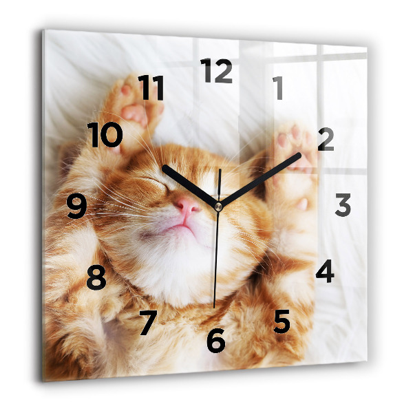 Square glass wall clock Sleeping little kitten