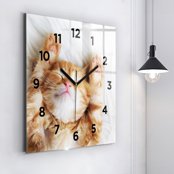 Square glass wall clock Sleeping little kitten