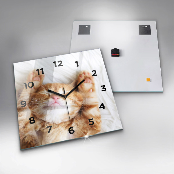 Square glass wall clock Sleeping little kitten