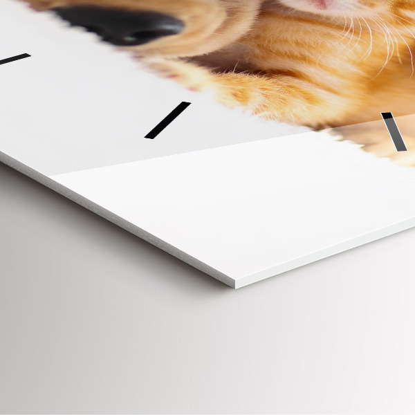 Square glass wall clock Sleeping cat and dog
