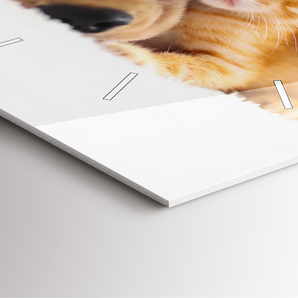 Square glass wall clock Sleeping cat and dog