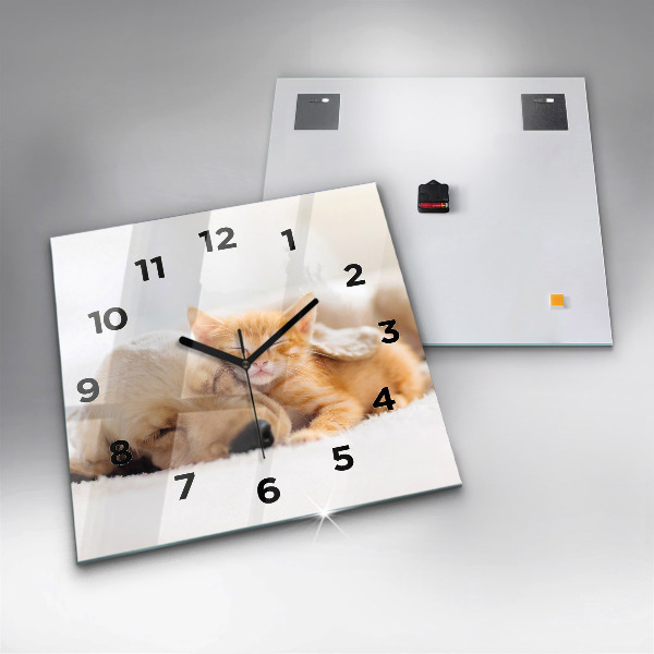 Square glass wall clock Sleeping cat and dog