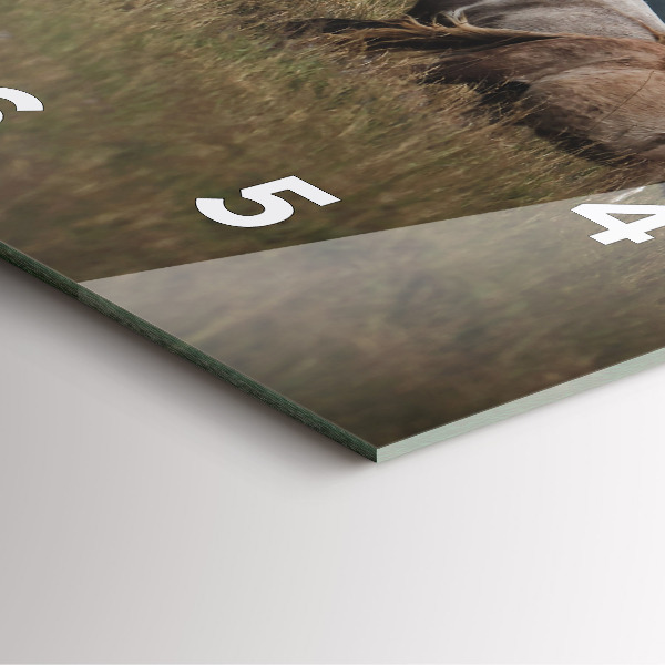 Square glass wall clock Horses at a gallop