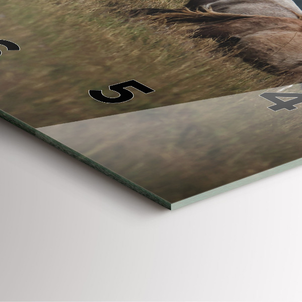 Square glass wall clock Horses at a gallop