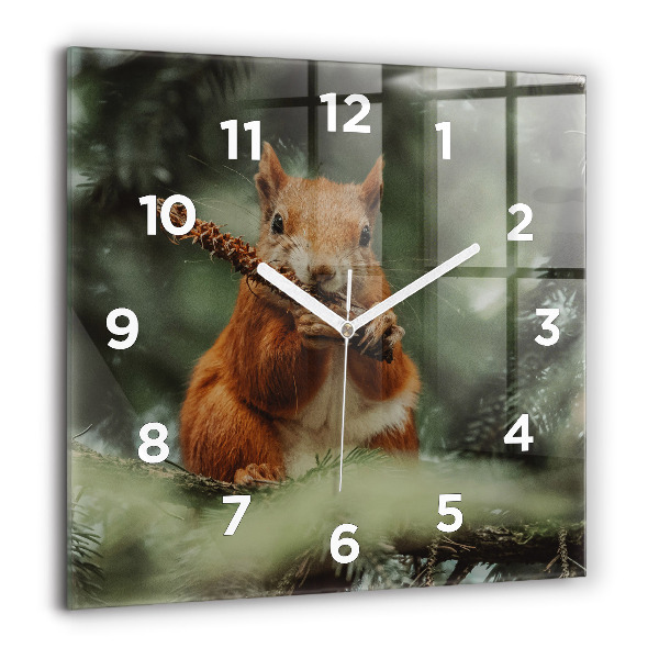 Square glass wall clock Squirrel and wild nature