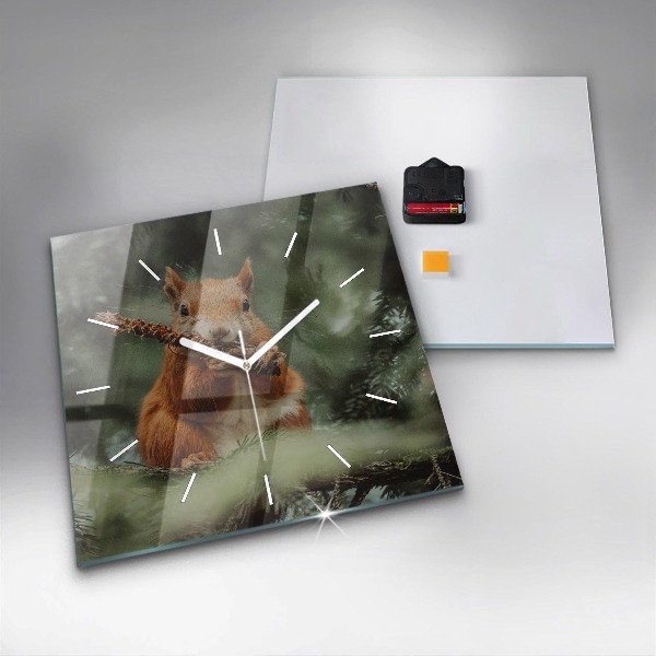 Square glass wall clock Squirrel and wild nature