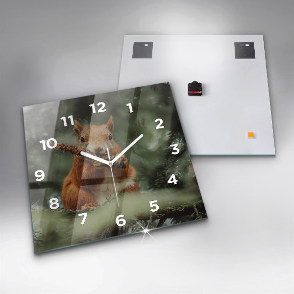 Square glass wall clock Squirrel and wild nature