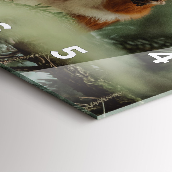 Square glass wall clock Squirrel and wild nature