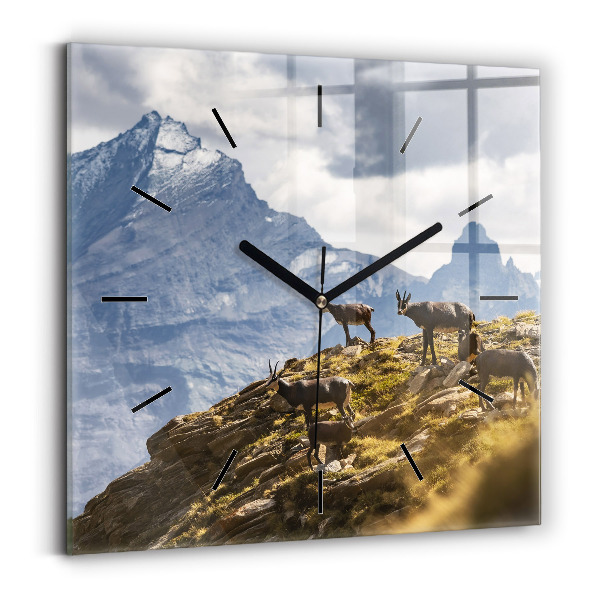Square glass wall clock Goat in the Aosta Valley