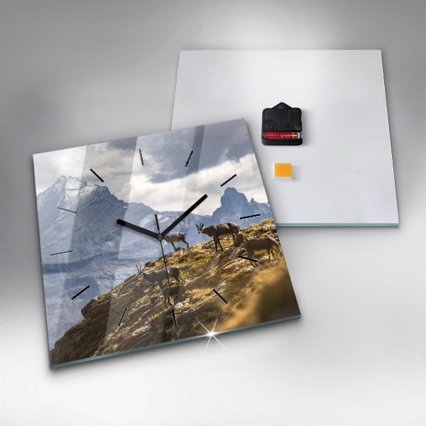 Square glass wall clock Goat in the Aosta Valley