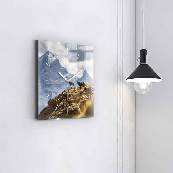 Square glass wall clock Goat in the Aosta Valley