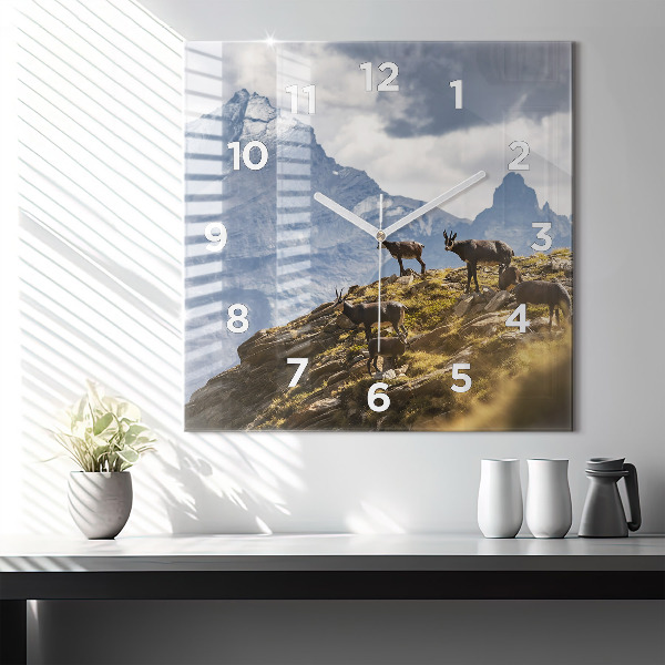 Square glass wall clock Goat in the Aosta Valley