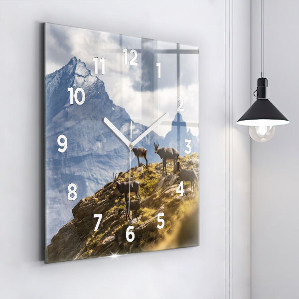 Square glass wall clock Goat in the Aosta Valley