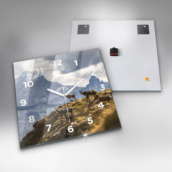 Square glass wall clock Goat in the Aosta Valley