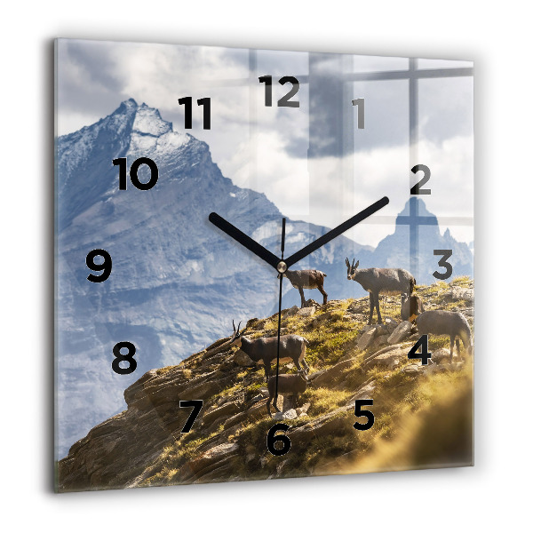 Square glass wall clock Goat in the Aosta Valley