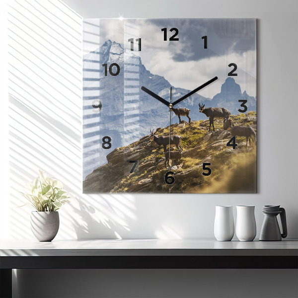 Square glass wall clock Goat in the Aosta Valley
