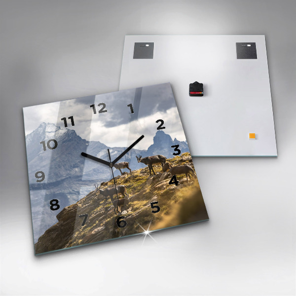 Square glass wall clock Goat in the Aosta Valley