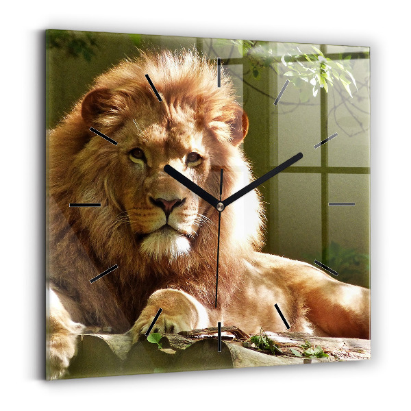 Square glass wall clock Portrait of a Lion