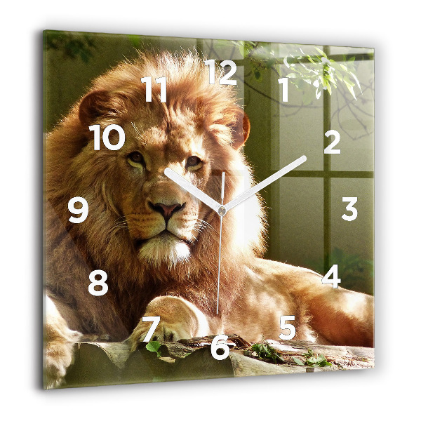 Square glass wall clock Portrait of a Lion