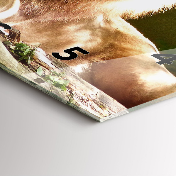 Square glass wall clock Portrait of a Lion