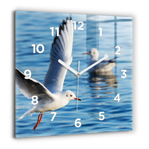 Square glass wall clock Seagulls in Gdynia