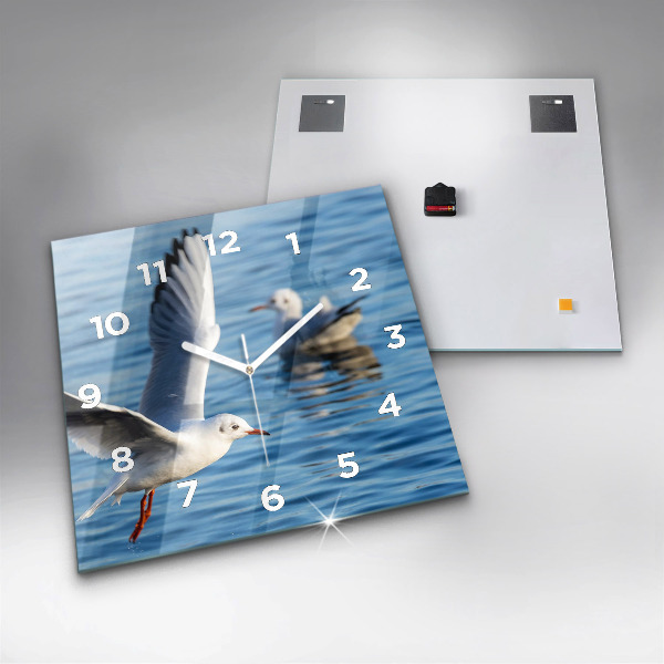 Square glass wall clock Seagulls in Gdynia