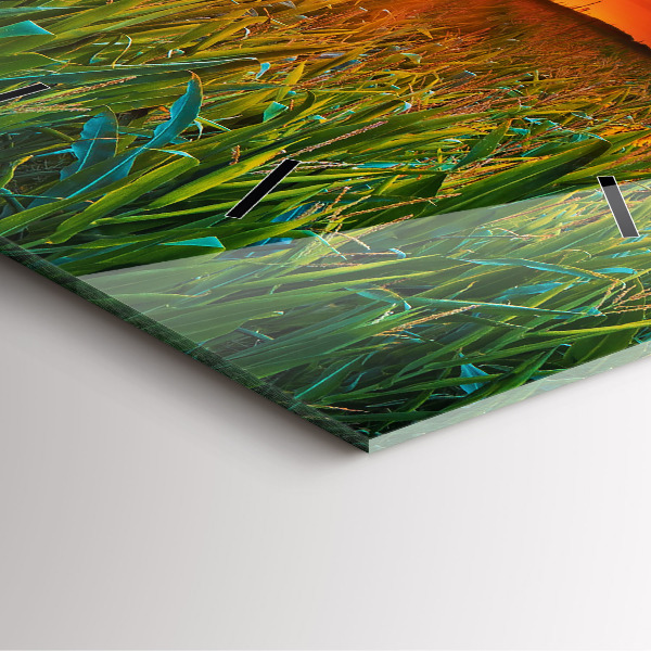 Square glass wall clock Sunflowers in the meadow