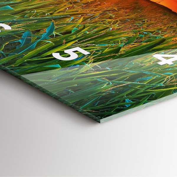 Square glass wall clock Sunflowers in the meadow