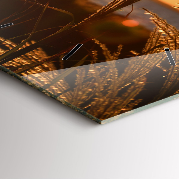 Square glass wall clock Wheat in the golden sun