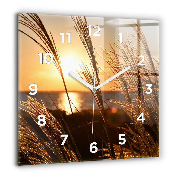 Square glass wall clock Wheat in the golden sun