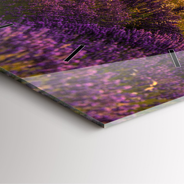Square glass wall clock Lavender meadow France