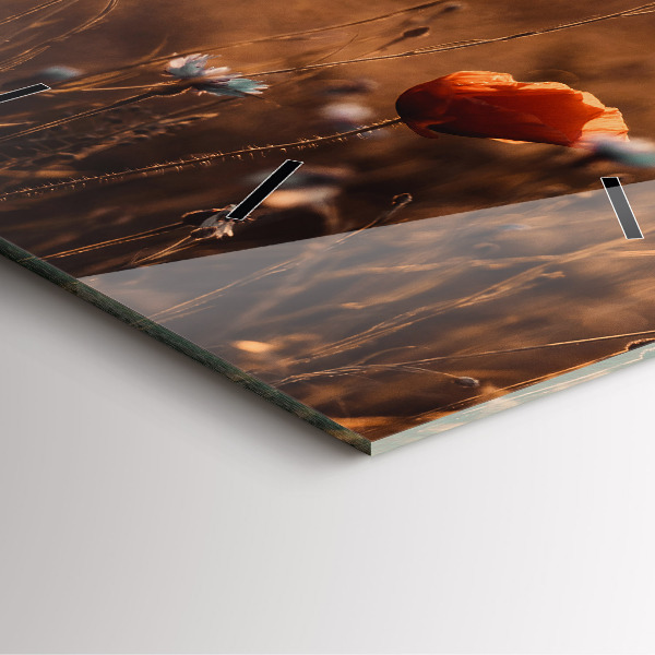 Square glass wall clock Field sunrise