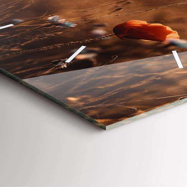 Square glass wall clock Field sunrise