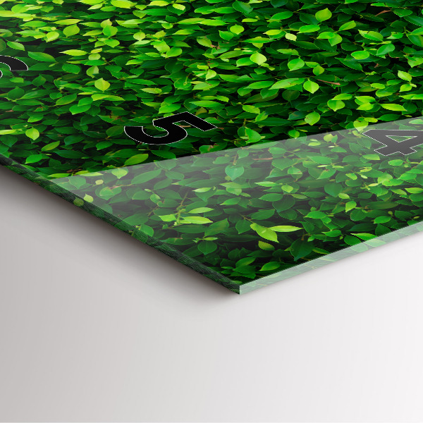 Square glass wall clock Hedge leaves