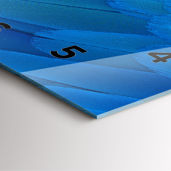 Square glass wall clock Bird feather