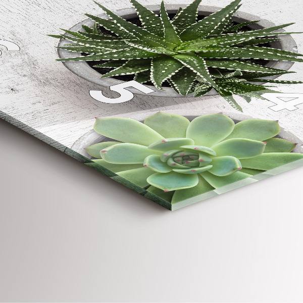 Square glass wall clock Ornamental plants