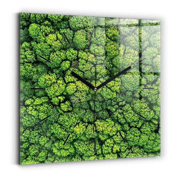 Square glass wall clock Forest from above