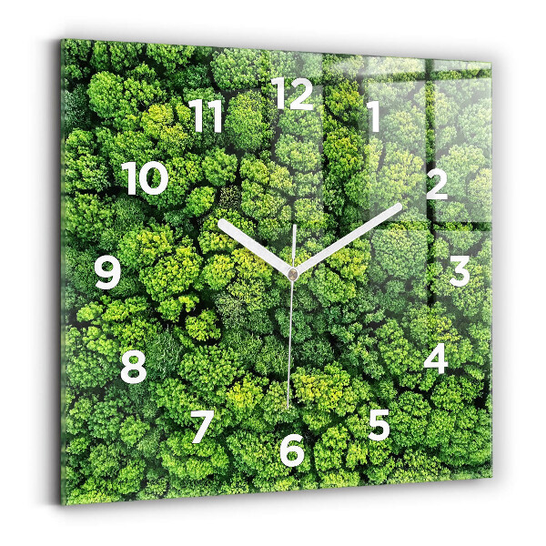 Square glass wall clock Forest from above