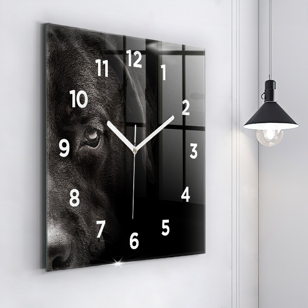 Square glass wall clock Scottish Fold Dog and Cat