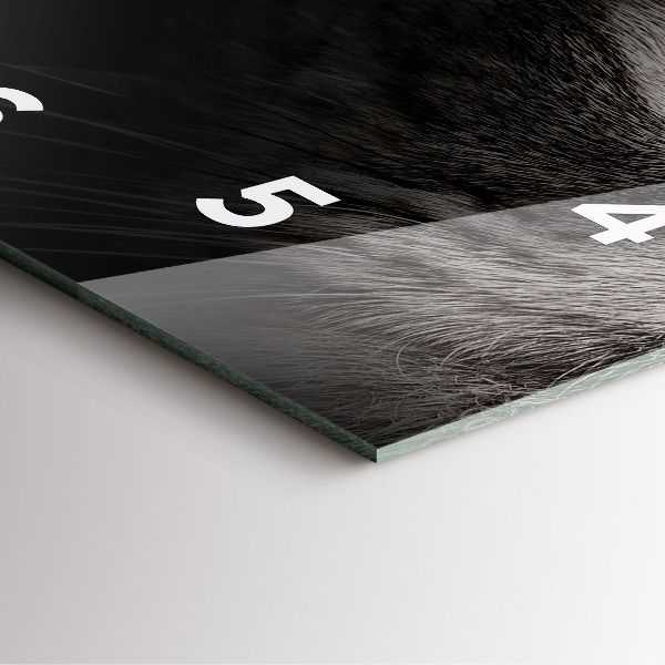 Square glass wall clock Scottish Fold Dog and Cat