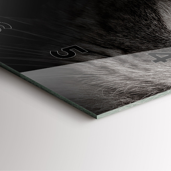 Square glass wall clock Scottish Fold Dog and Cat