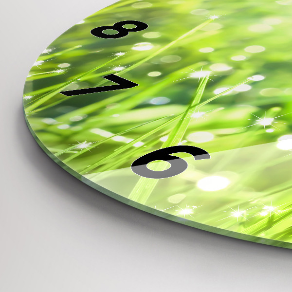 Round glass clock Green grass