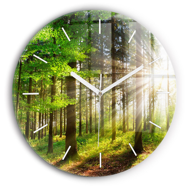 Round glass clock Forest sunrise