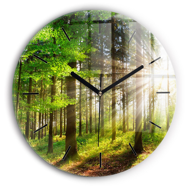 Round glass clock Forest sunrise