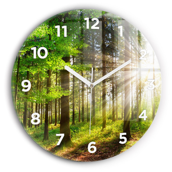 Round glass clock Forest sunrise