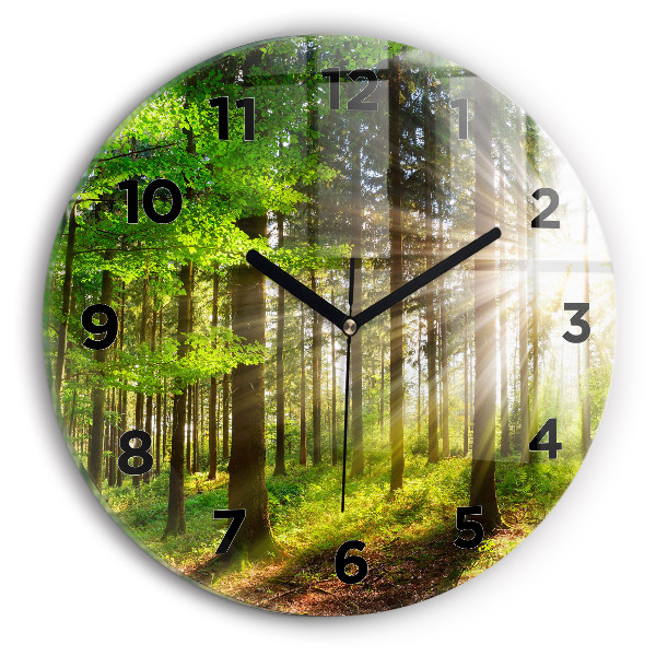 Round glass clock Forest sunrise