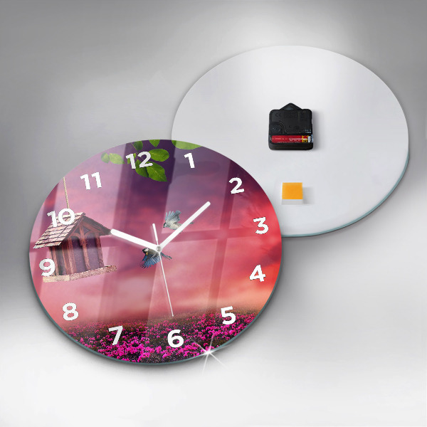 Round glass clock Birdhouse