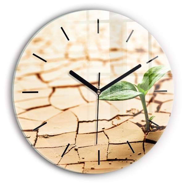 Round glass clock Plant in dry soil