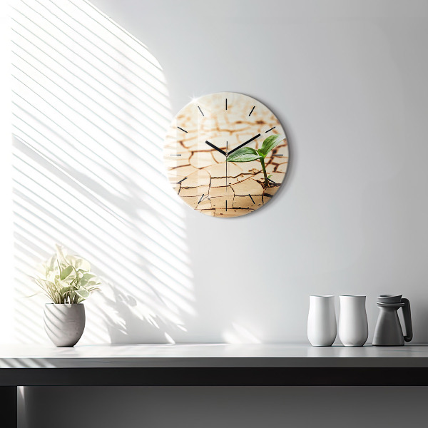 Round glass clock Plant in dry soil