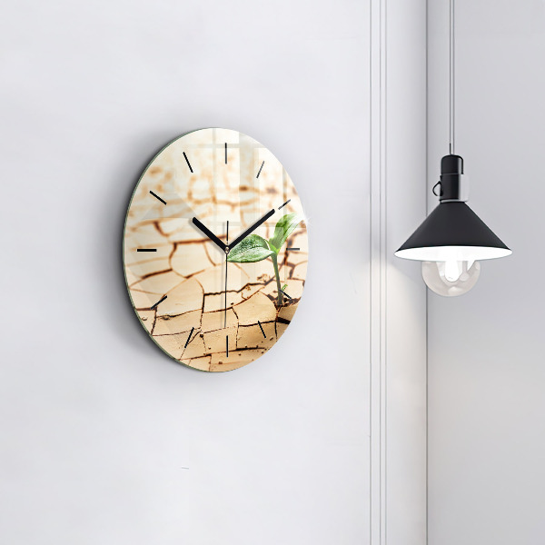 Round glass clock Plant in dry soil